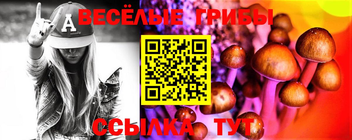 Псилоцибиновые грибы мицелий Воткинск