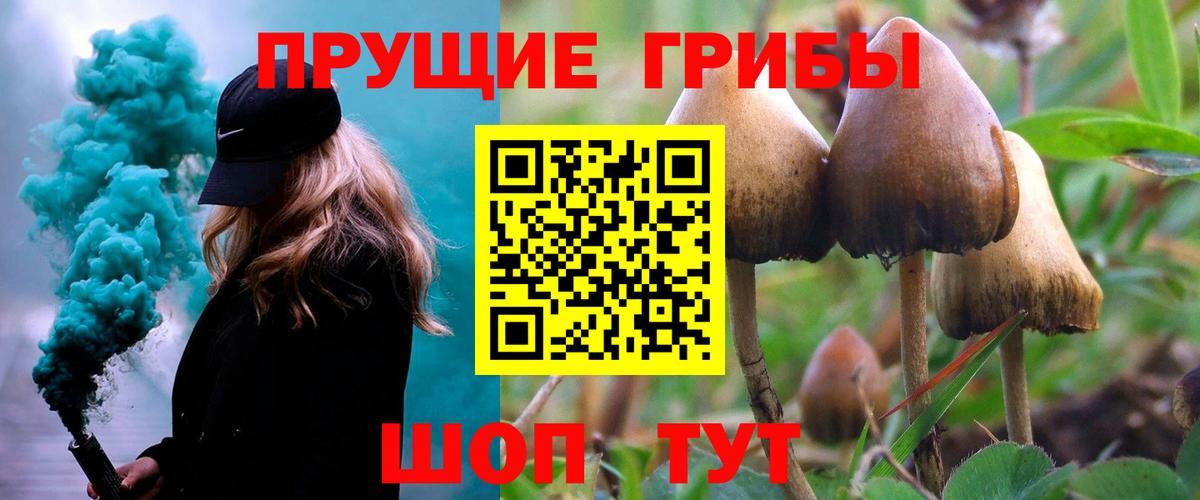 Воткинск  Галлюциногенные грибы Psilocybe  Вход с VPN  дарнет шоп  Псилоцибиновые грибы мицелий 